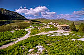 Segesta, Tempio dorico